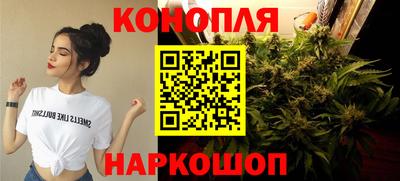 герыч Кингисепп