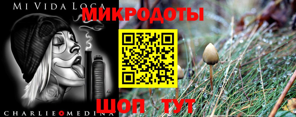 Псилоцибиновые грибы Psilocybe Татарск