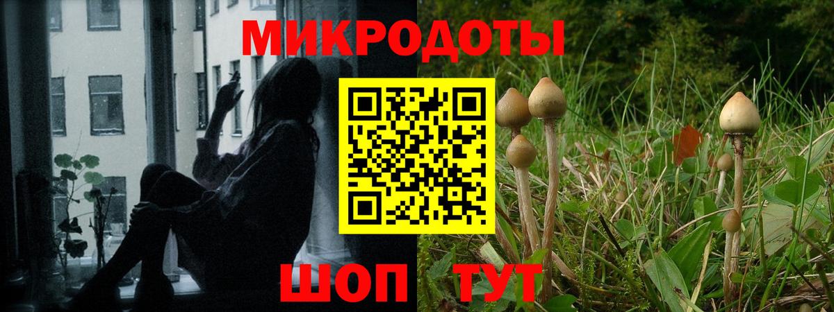 Псилоцибиновые грибы Magic Shrooms  где можно купить   Вход с VPN  Татарск  Псилоцибиновые грибы Cubensis 